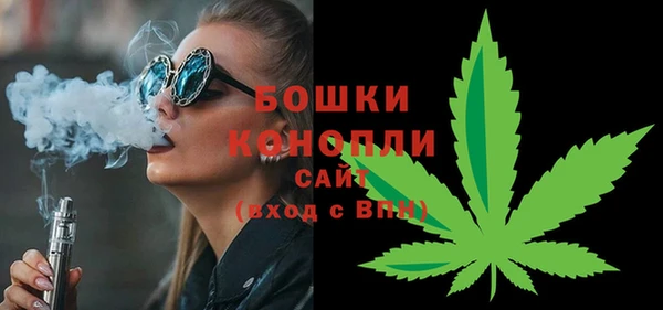 не бодяженный Иннополис