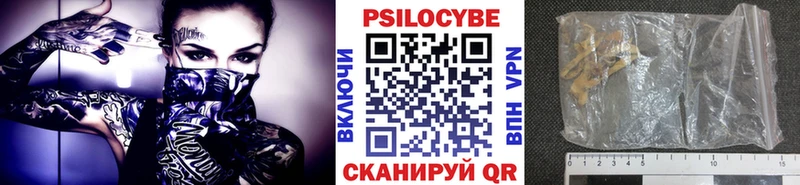 Псилоцибиновые грибы мухоморы  Купить закладки  Кашира 